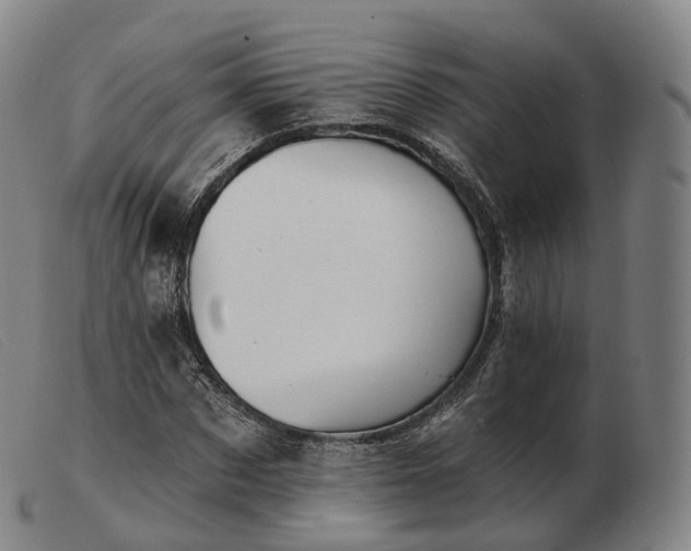 X0000103470873200809191833