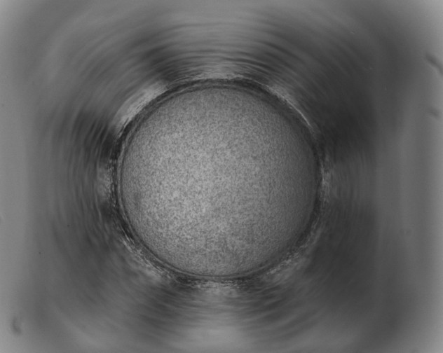 X0000103470874200809191833