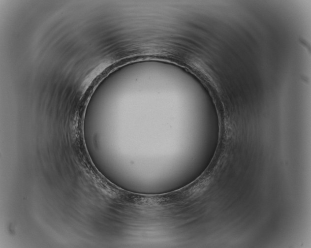 X0000103470875200809191833