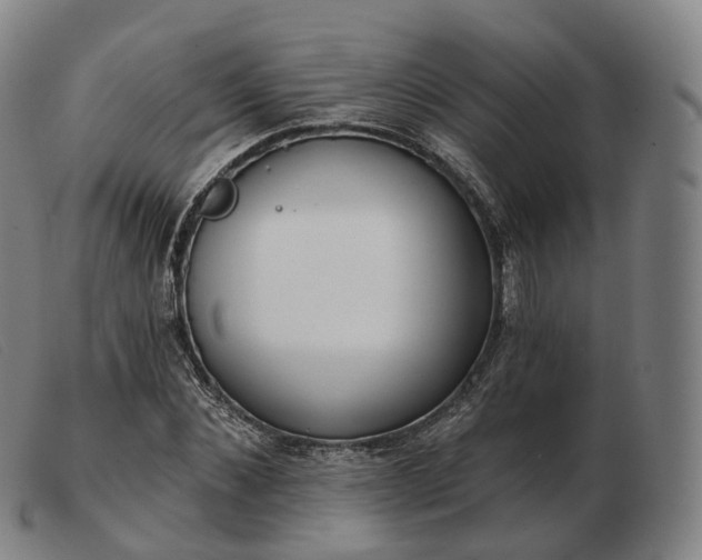 X0000103470876200809191833