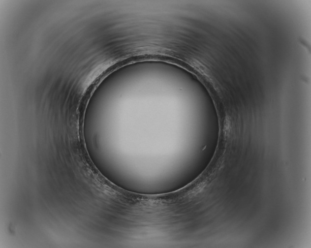 X0000103470877200809191833