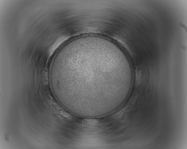 X0000103470878200809191833