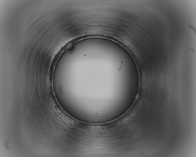 X0000103470880200809191833