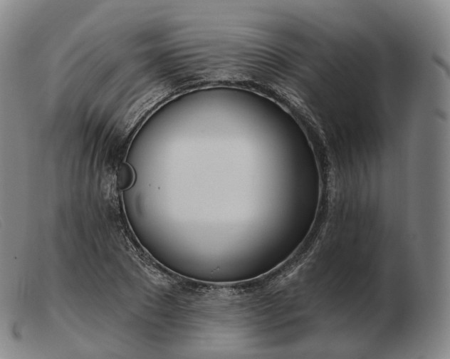 X0000103470881200809191833