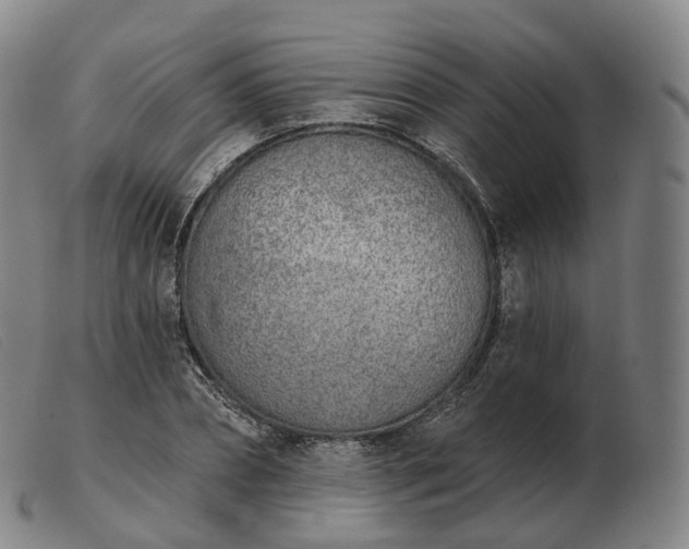 X0000103470882200809191833