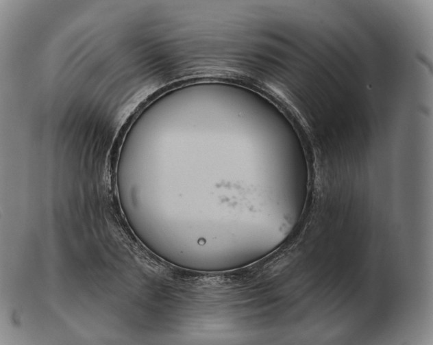 X0000103470883200809191833