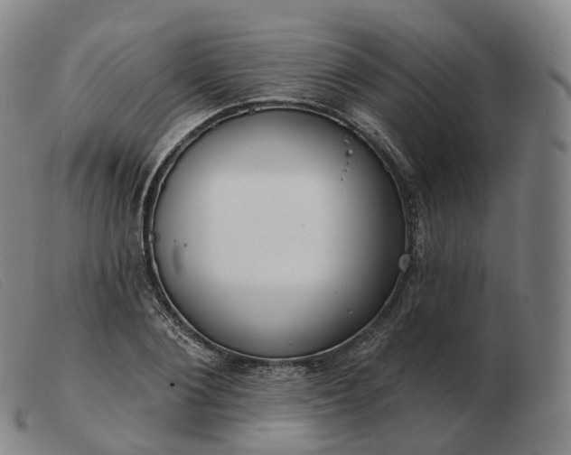 X0000103470884200809191833