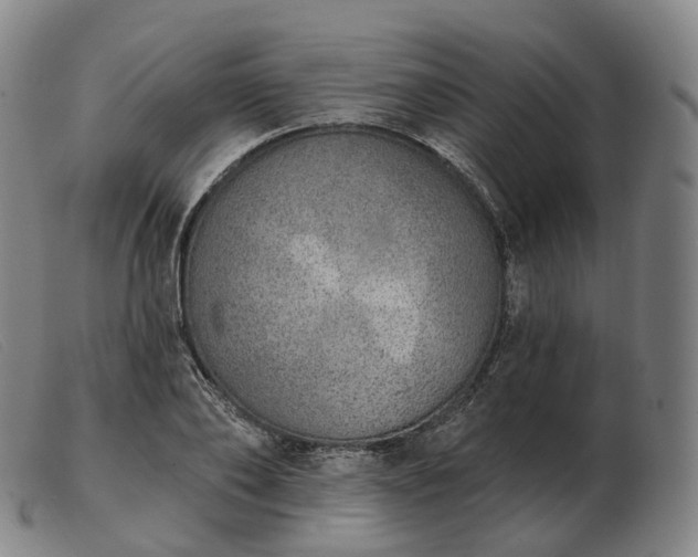 X0000103470886200809191833