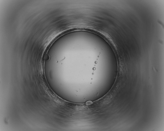 X0000103470887200809191833