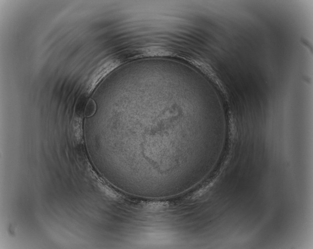 X0000103470889200809191833