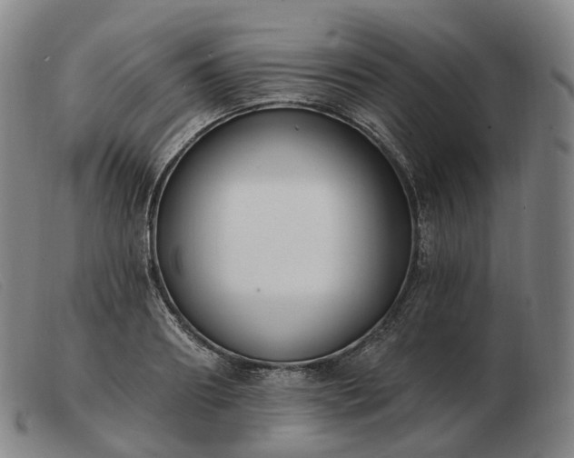 X0000103470890200809191833