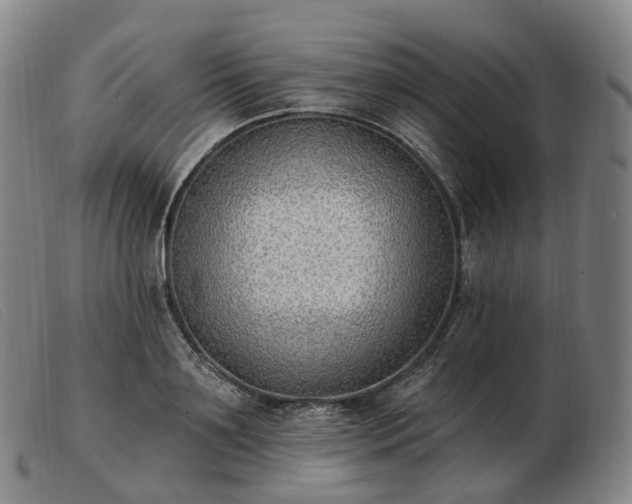 X0000103470891200809191833