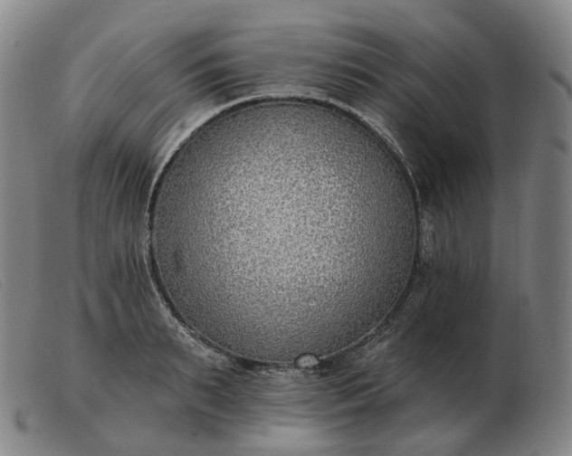 X0000103470895200809191832