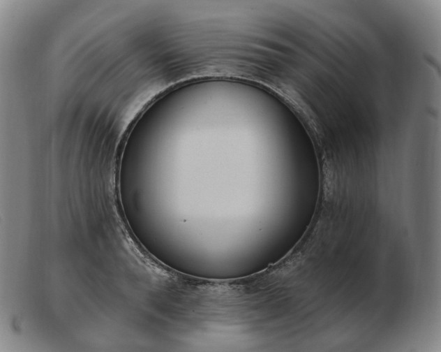 X0000103470896200809191832