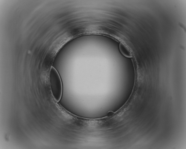 X0000103470897200809191832