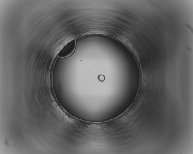 X0000103470898200809191832