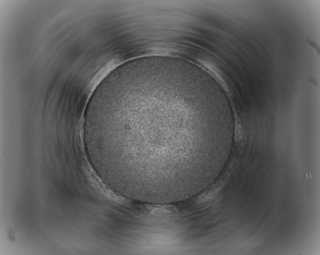 X0000103470899200809191832