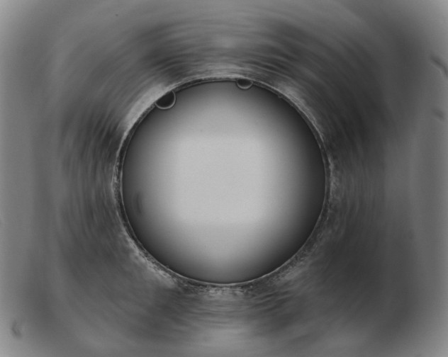 X0000103470901200809191832