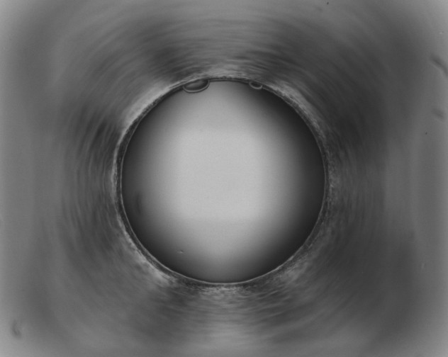 X0000103470902200809191832