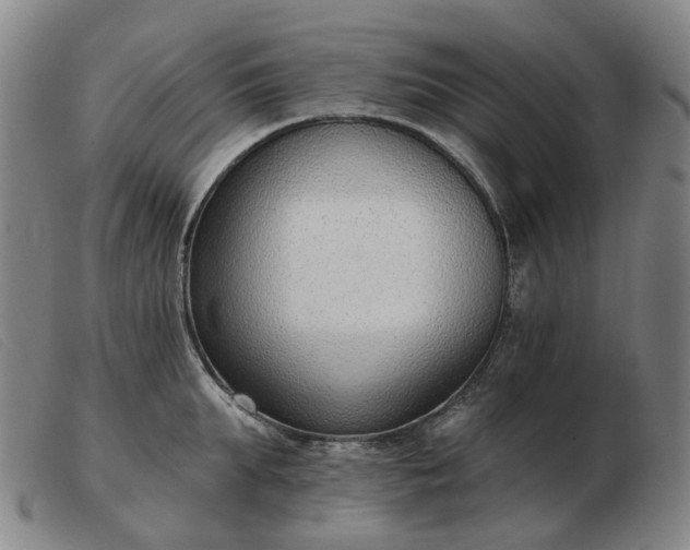 X0000103470903200809191832