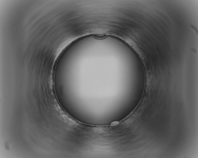 X0000103470904200809191832