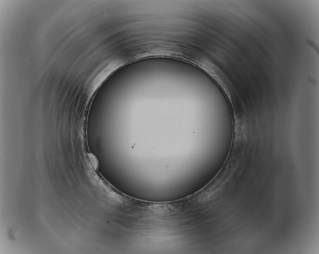 X0000103470906200809191832