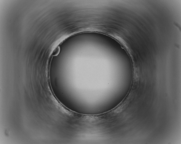 X0000103470910200809191832