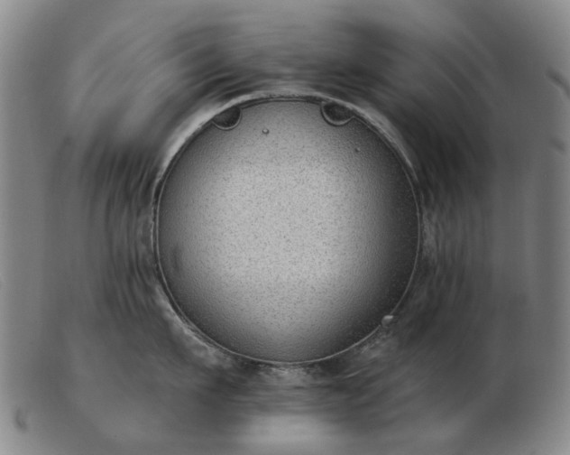 X0000103470911200809191832