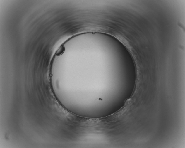 X0000103470912200809191832