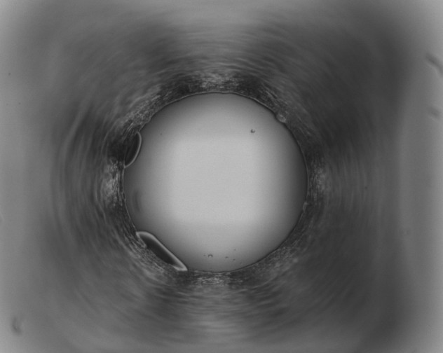 X0000103470914200809191832