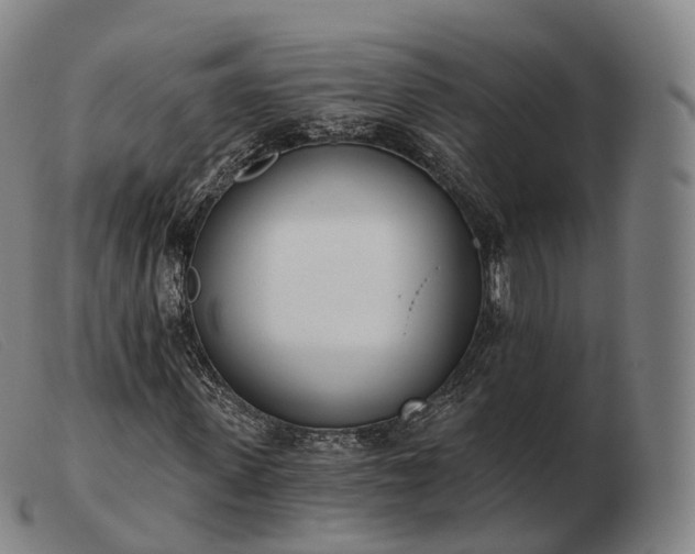 X0000103470915200809191832