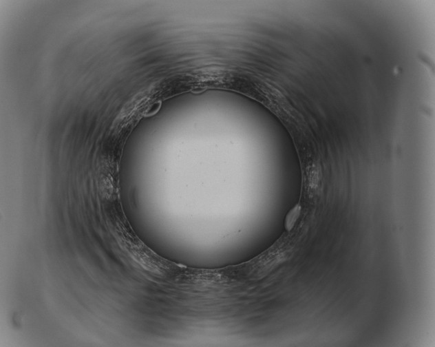 X0000103470916200809191832