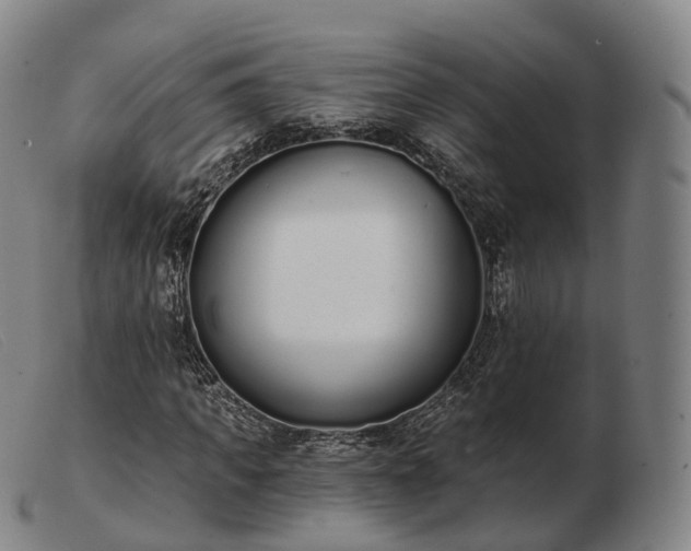 X0000103470917200809191832