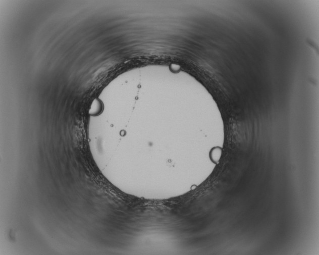 X0000103470918200809191832