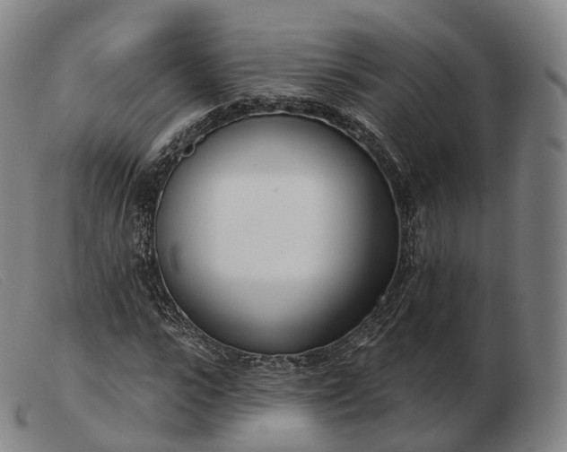 X0000103470919200809191832