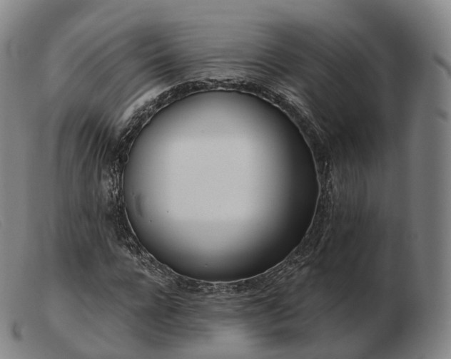 X0000103470920200809191832