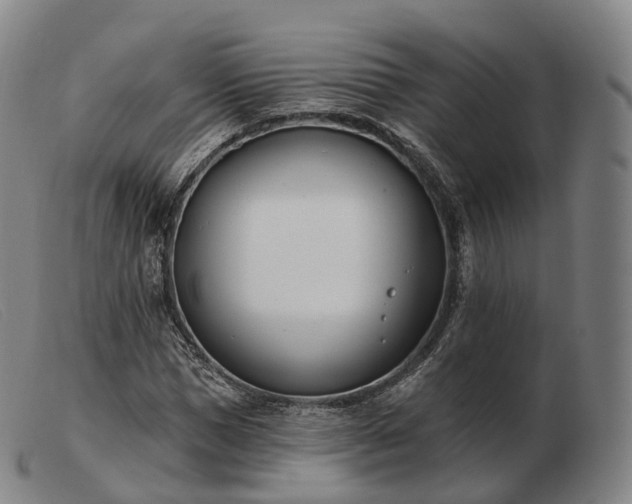 X0000103470921200809191832