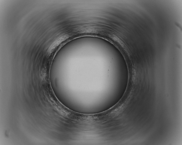 X0000103470922200809191832