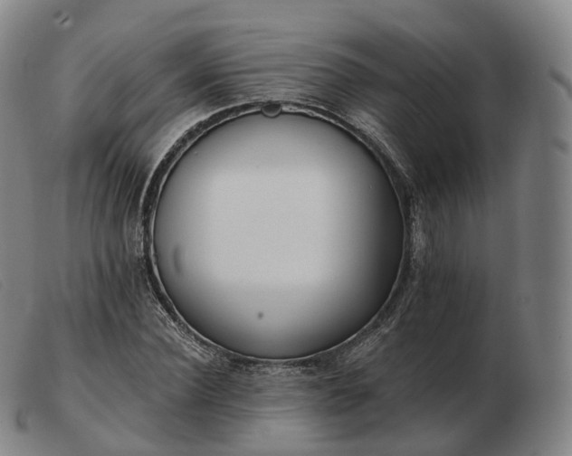 X0000103470924200809191832