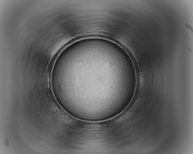 X0000103470925200809191832