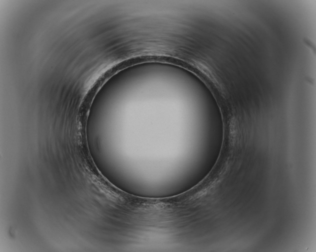 X0000103470926200809191832