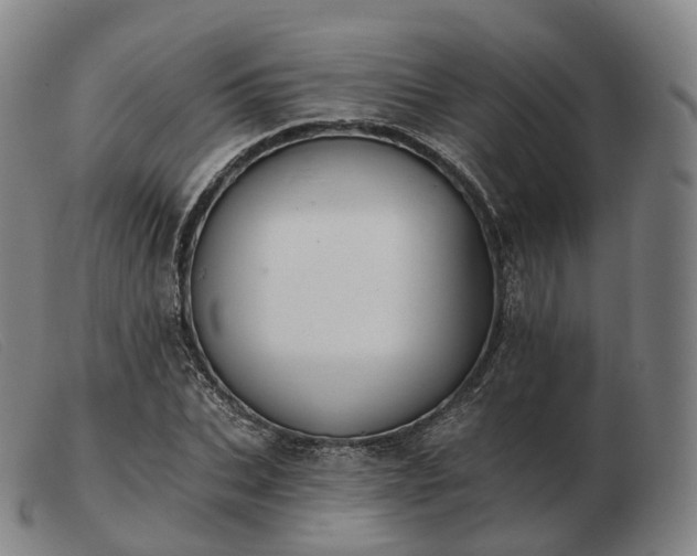 X0000103470927200809191832