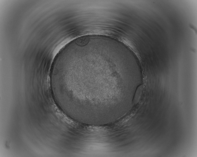 X0000103470928200809191832