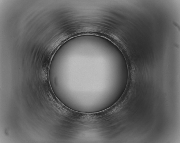 X0000103470929200809191832