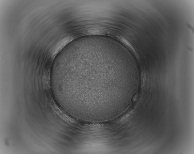 X0000103470930200809191832