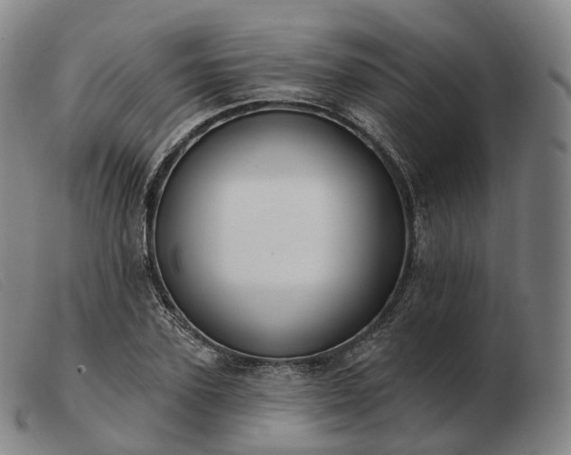 X0000103470931200809191832