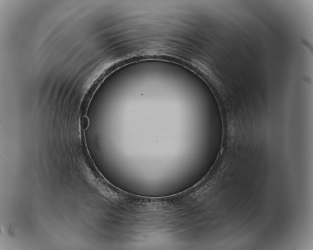 X0000103470934200809191832