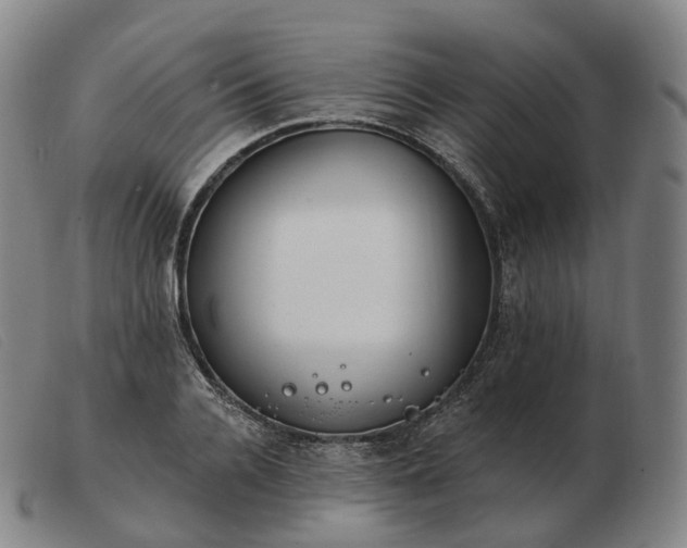 X0000103470936200809191832