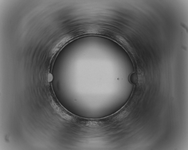 X0000103470938200809191832