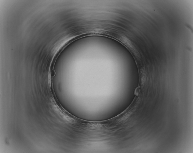 X0000103470940200809191832